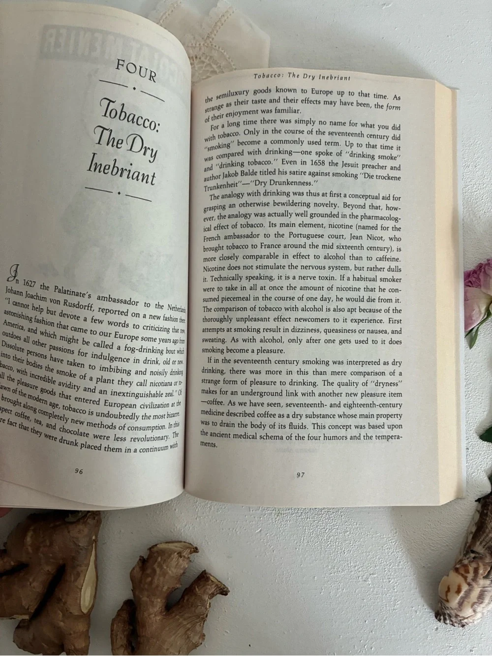 Tastes of Paradise Paperback Book - Wolfgang Schivelbusch